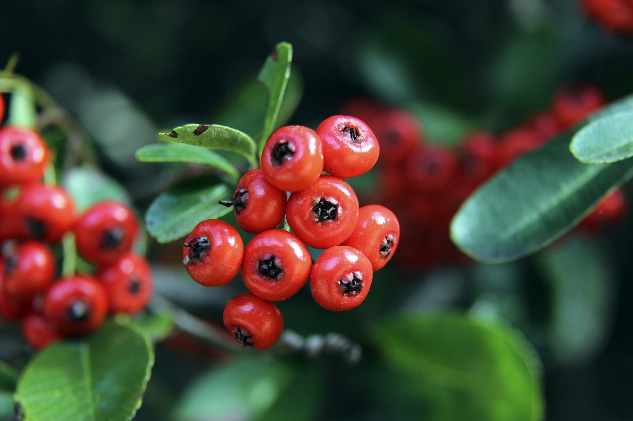 持着对技术 持着对技术